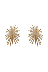 Zircon Fireworks Earrings Electroplated Exquisite Earrings 629289761561 - COCOMELODY