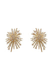 Zircon Fireworks Earrings Electroplated Exquisite Earrings 629289761561 - COCOMELODY