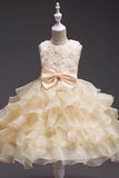Ball Gown Scoop Neck Sleeveless Mini Organza Flower Girl Dresses 547048188211 - COCOMELODY