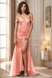 Sheath-Column Sweep-Brush Train Tulle Prom Dress CS0465 - COCOMELODY