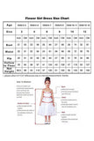 A-Line V-Neck Sleeveless Tulle Sweep-Brush Train Flower Girl Dresses 915121553468