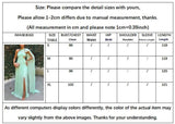 Sheath-Column Maxi Chiffon Formal Evening Dresses 930801984346 - COCOMELODY