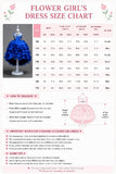 Ball Gown Illusion Round Neck Sleeveless Ruffled Organza Hi-Low Front Short Back Long Flower Girl Dresses 1029091411303