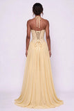 A-Line Floor-length Chiffon Lace Wedding Guest Dress CG0337