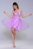A-Line Mini Tulle Homecoming Dress CS1009 - COCOMELODY