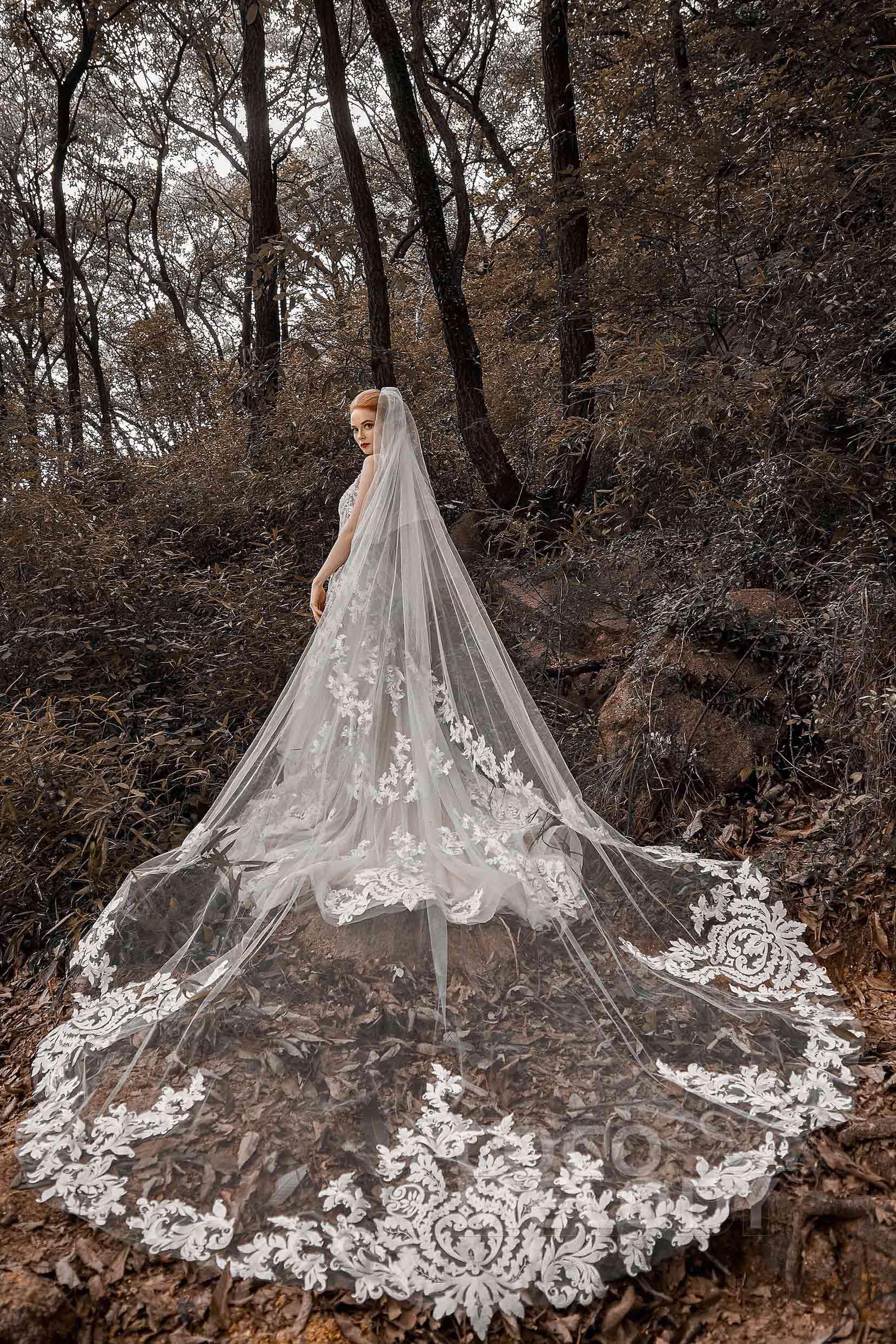 Two-tier Lace Edge Tulle Cathedral Veils Appliques CV0184 - COCOMELODY