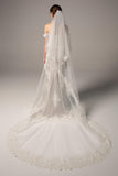 Two-tier Lace Edge Tulle Cathedral Veils Appliques CV0213 - COCOMELODY