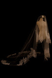 One-tier Lace Edge Tulle Lace Cathedral Veils with CV0349 - COCOMELODY