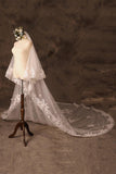 Two-tier Lace Edge Tulle Lace Cathedral Veils with Appliques CV0355 - COCOMELODY