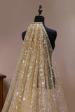 One-tier Cut Edge Tulle Cathedral Veils with Glitter Powder CV0358 - COCOMELODY