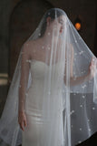 One-tier Cut Edge Tulle Cathedral Veils with Appliques CV0371 - COCOMELODY