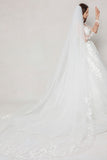 One-tier Lace Edge Tulle Chapel Veils with Appliques CV0404