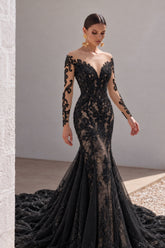 Trumpet-Mermaid Chapel Train Lace Tulle Wedding Dress CW3009