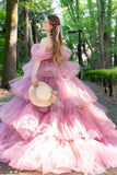 Ball Gown Court Train Tulle Wedding Dress CW3298
