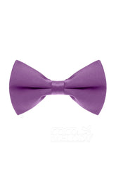 Men's Elastic Silk Like Satin Bow Ties CZ170016 - COCOMELODY