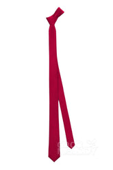 Men's Satin Necktie CZ180001 - COCOMELODY