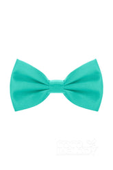 Men's Satin Bow Ties CZ180004 - COCOMELODY