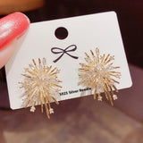 Zircon Fireworks Earrings Electroplated Exquisite Earrings 629289761561 - COCOMELODY