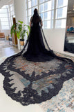 One-tier Lace Edge Tulle Cathedral Veils with Appliques CV0340 - COCOMELODY