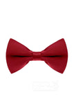 Men's Elastic Silk Like Satin Bow Ties CZ170016 - COCOMELODY