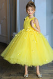 Ball Gown Sleeveless Knee Length Tulle Flower Girl Dresses 672958649240