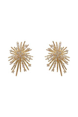 Zircon Fireworks Earrings Electroplated Exquisite Earrings 629289761561 - COCOMELODY