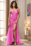 Sheath-Column Sweep-Brush Train Tulle Prom Dress CS0465 - COCOMELODY
