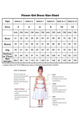 Ball Gown Court Train Tulle Lace Flower Girl Dress 737454268619