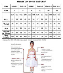 A-Line Illusion Neck Long Sleeve Tulle Court Train Flower Girl Dresses 757294973843 - COCOMELODY