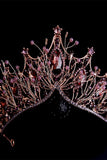 Alloy Tiaras with Rhinestone 826576146579 - COCOMELODY