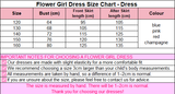A-Line Illusion Neck Sleeveless Floor Length Tulle Flower Girl Dresses 1029774082419