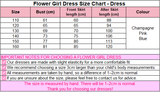 Princess Peter Pan Collar Lace Trim High-Low Floral Tulle Flower Girl Dresses 1030171849352