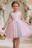 Sleeveless Round Neck Floral Appliques High-Low Flower Girl Dresses 1029079751952