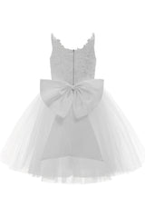 A-Line Knee Length Tulle Lace Flower Girl Dress CF0292 - COCOMELODY