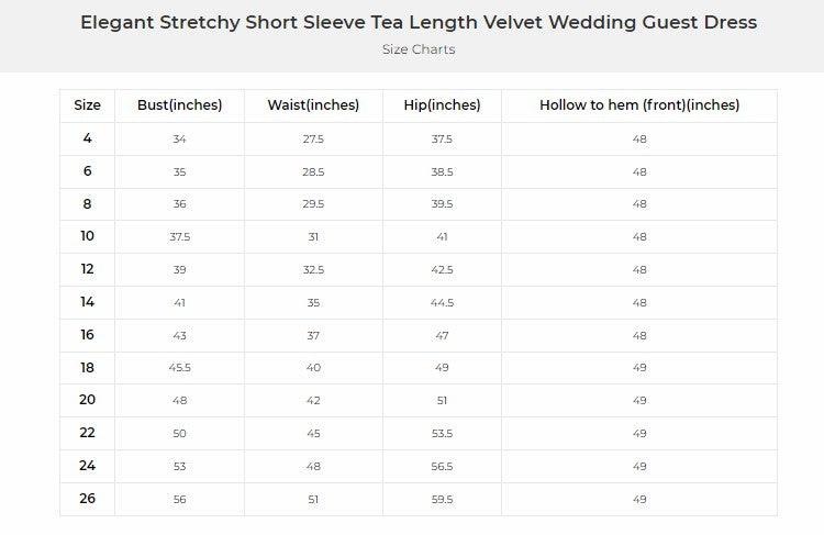 A-Line Midi Comprises Velvet Dress CG0270 - COCOMELODY