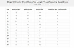 A-Line Midi Comprises Velvet Dress CG0270 - COCOMELODY