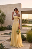 A-Line Floor-length Chiffon Lace Wedding Guest Dress CG0338