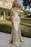 Trumpet-Mermaid Maxi Satin Mother of the Bride Dresses CM0387