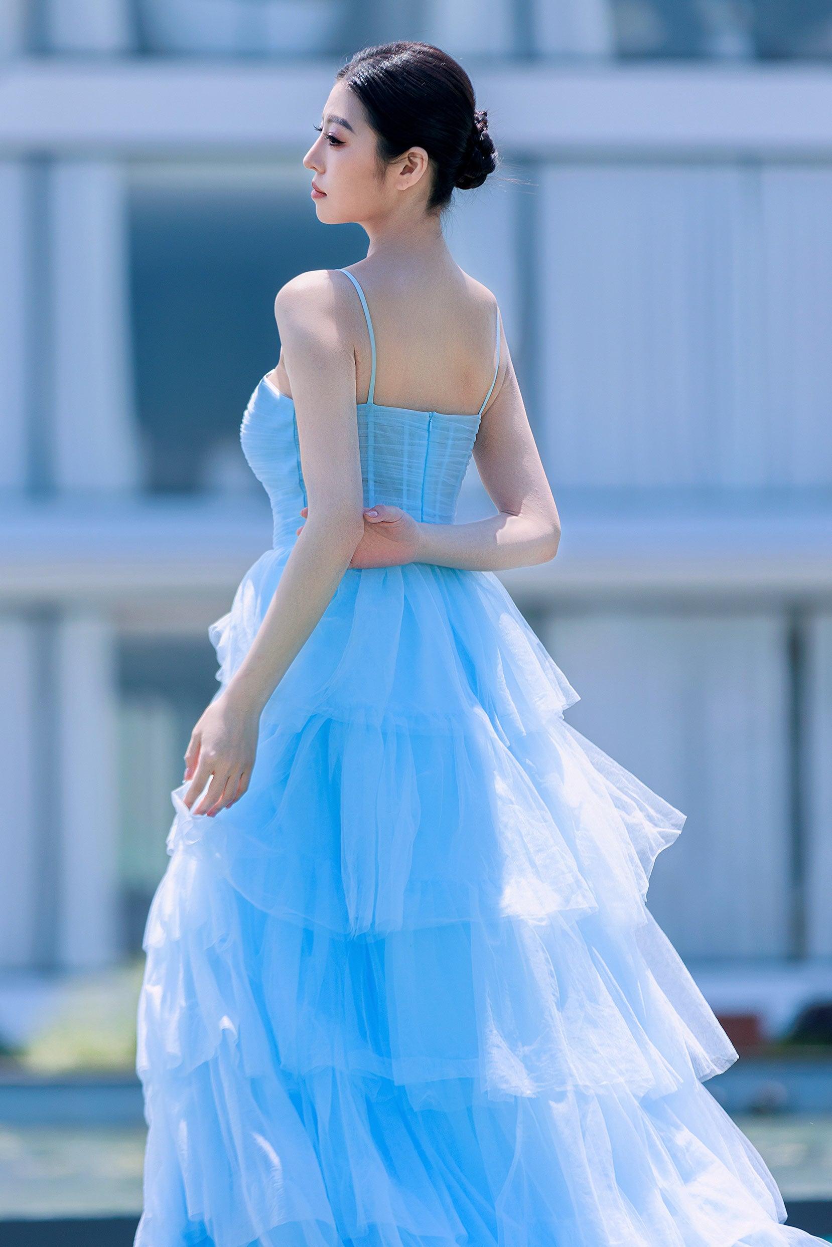 Princess Sweep-Brush Train Tulle Prom Dress CS0493 - COCOMELODY