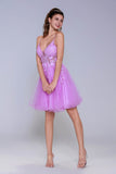 A-Line Mini Tulle Homecoming Dress CS1009 - COCOMELODY