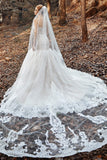 One-tier Lace Tulle Cathedral Veils Appliques Beading CV0183 - COCOMELODY