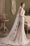 One-tier Lace Edge Tulle Chapel Veils with Appliques CV0264 - COCOMELODY