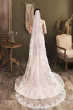 One-tier Lace Edge Tulle Chapel Veils with Appliques CV0264 - COCOMELODY