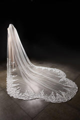 One-tier Lace Edge Tulle Lace Cathedral Veils with Appliques CV0285 - COCOMELODY