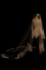 One-tier Lace Edge Tulle Lace Cathedral Veils with CV0349 - COCOMELODY