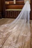Two-tier Lace Edge Tulle Lace Cathedral Veils with Appliques CV0354 - COCOMELODY