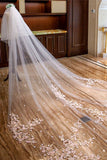 Two-tier Lace Edge Tulle Lace Cathedral Veils with Appliques CV0354 - COCOMELODY