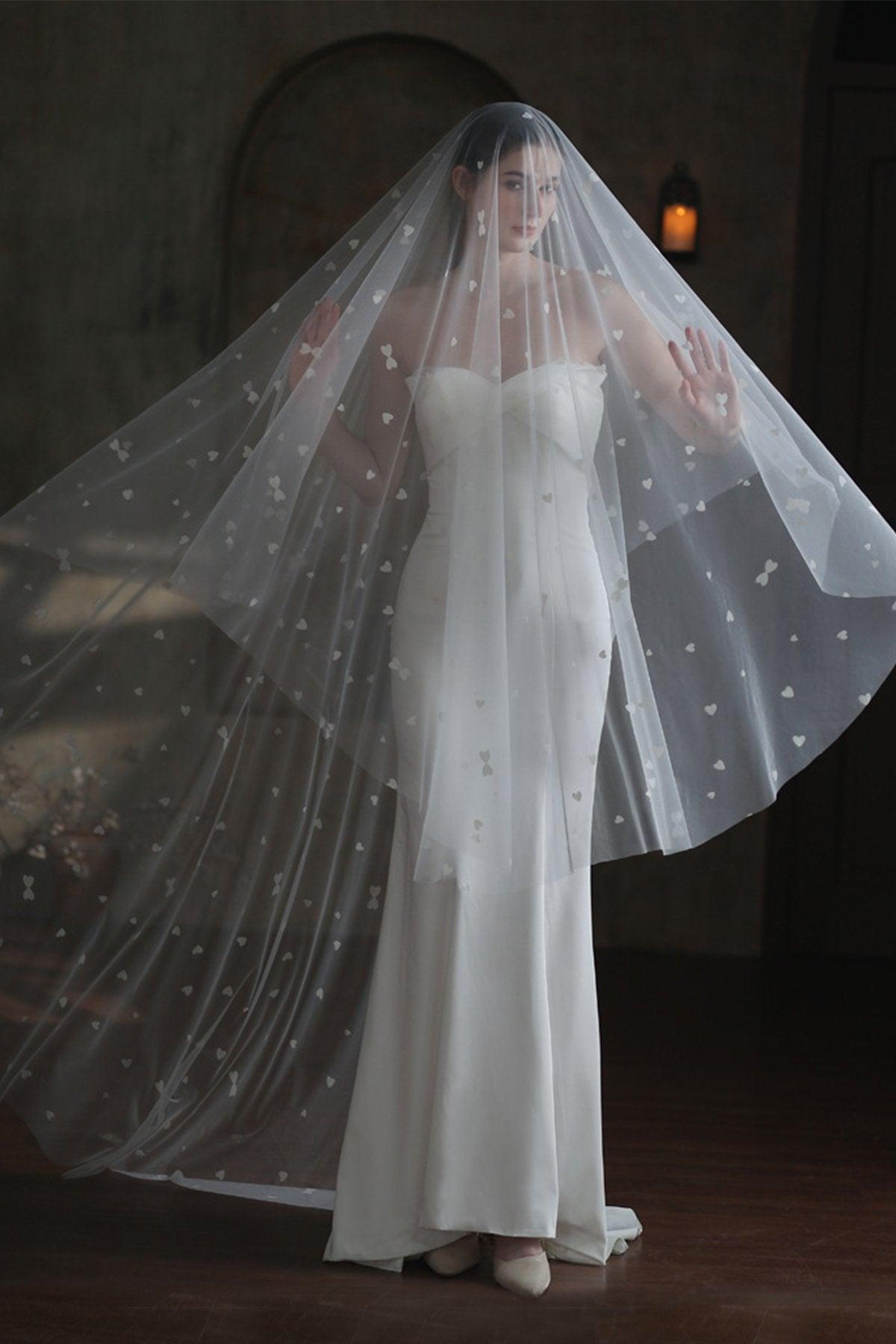 One-tier Cut Edge Tulle Cathedral Veils with Appliques CV0371 - COCOMELODY