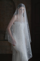 One-tier Cut Edge Tulle Cathedral Veils with Appliques CV0371 - COCOMELODY