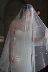 One-tier Cut Edge Tulle Cathedral Veils with Appliques CV0371 - COCOMELODY